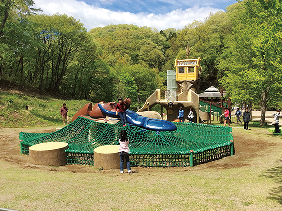 茨城県立 大子広域公園 森のアスレチック